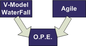 Online Project Evolution